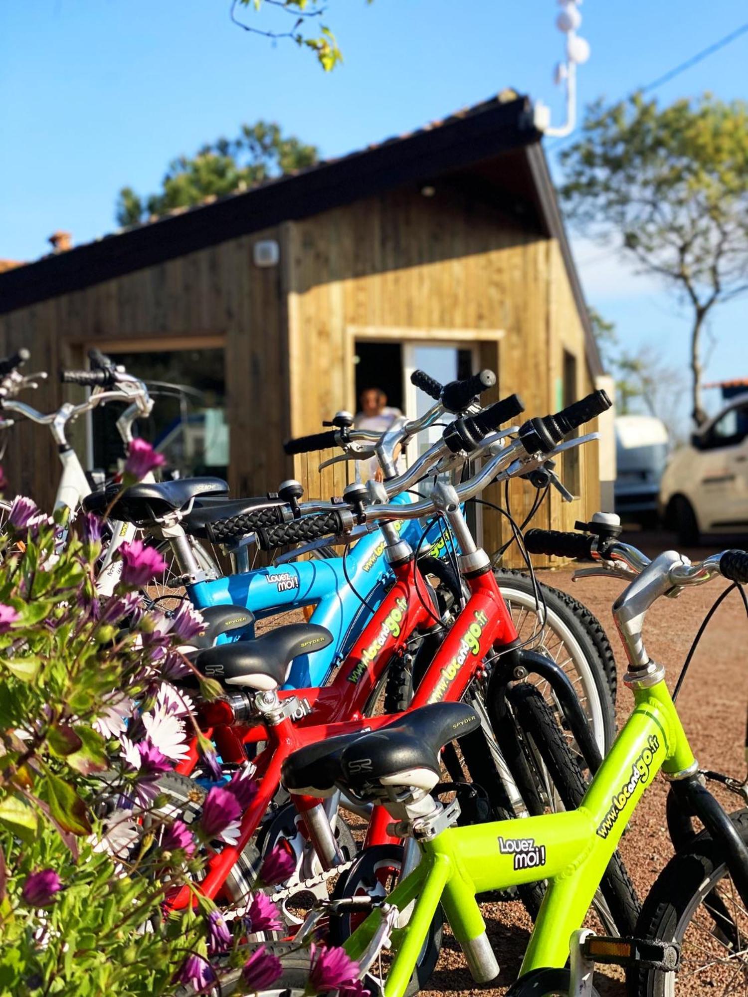 Camping Ostrea **** Dolus d'Oléron Εξωτερικό φωτογραφία