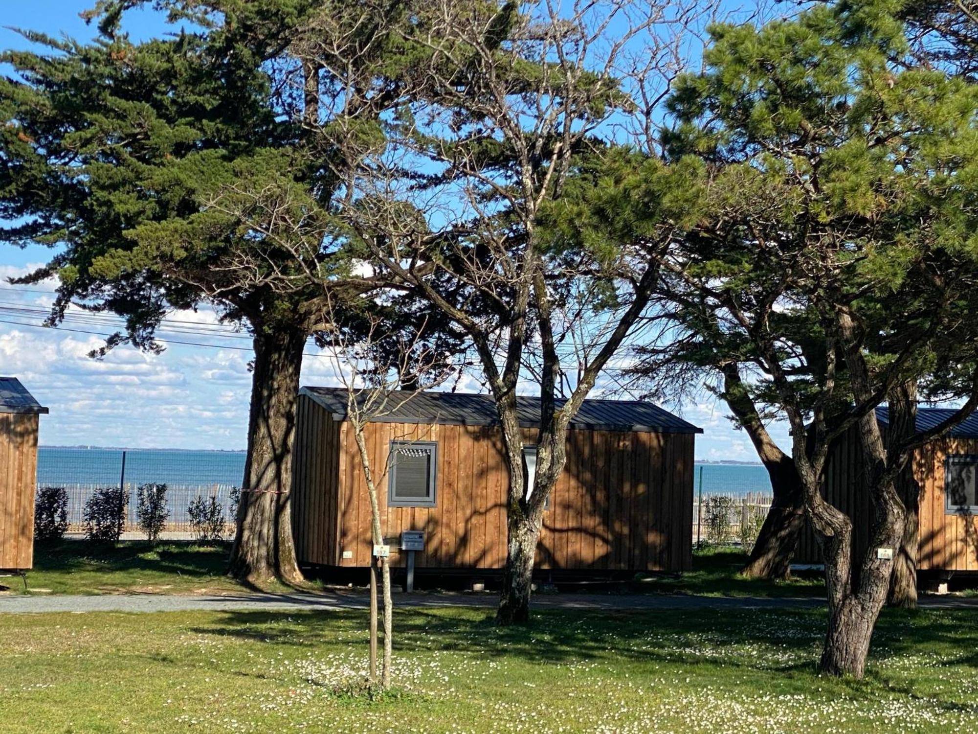 Camping Ostrea **** Dolus d'Oléron Εξωτερικό φωτογραφία
